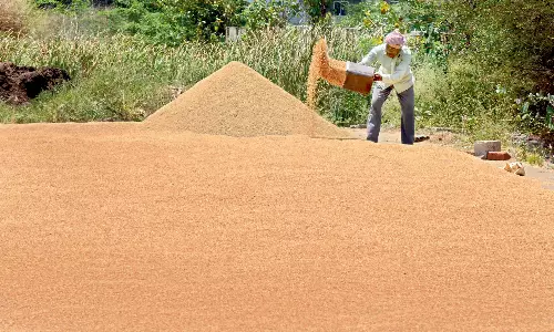 Telangana Sets 90 LMT Rabi Paddy Collection Target Telangana Sets 90 LMT Rabi Paddy Collection Target