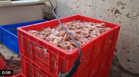 610 Kg Rotten Chicken Seized In Musheerabad