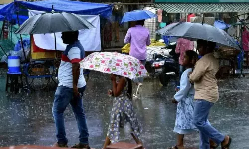 Almanac Writers Dismiss El Nino Effect, Project Varied Forecasts