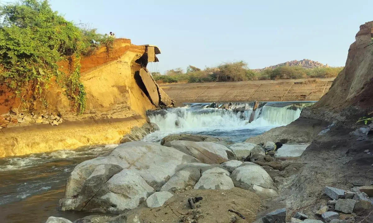 Canal Breach Near Basapur Damages Crops, Roads; Farmers Stage Protest