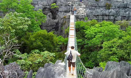 Tourism In Madagascar Help To Conserve Some Forests But Others Suffer