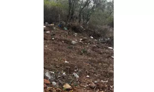 Plastic Waste Dumping Continues in Amrabad Tiger Reserve Despite Rs 10,000 Fine Warning