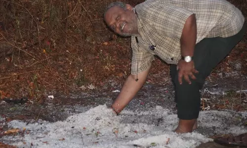 Widespread Hailstone Rainfall Lash Several Districts, Farmers Affected The Most Widespread Hailstone Rainfall Lash Several Districts, Farmers Affected The Most