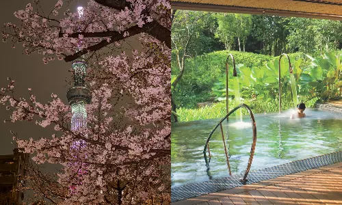 Where Travel Meets True Happiness