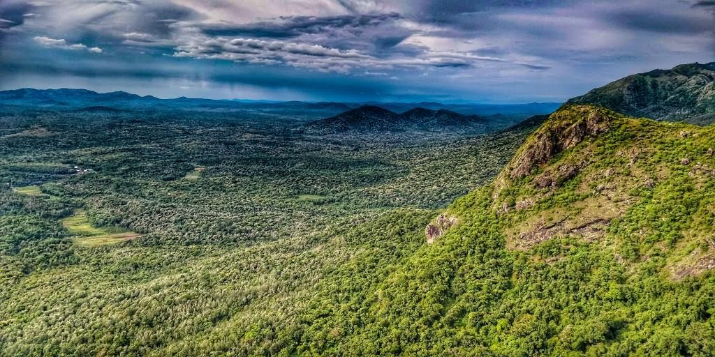 Army, Forest Dept Rescue Tourist From Deep Gorge in Nilgiris