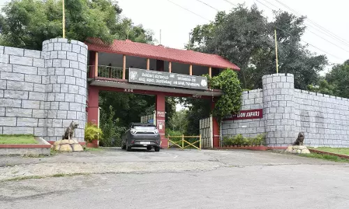 Veterinary Doctor Killed In Hippopotamus Attack In Karnataka Zoo