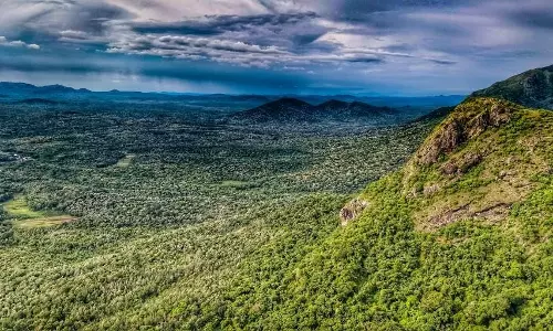 Army, Forest Dept Rescue Tourist From Deep Gorge in Nilgiris