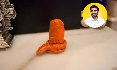 Clarification on Puja Room Idol: Lokesh Dismisses Social Media Speculation