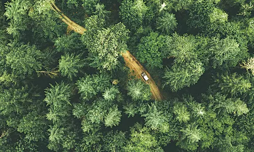 Experts See Red With Green Credit Gamble