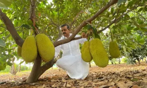 Mekala Shiva Shankar Reddy: The Farmer Innovator Transforming Drought-Hit Anantapur into a Hub of Profitable Agriculture