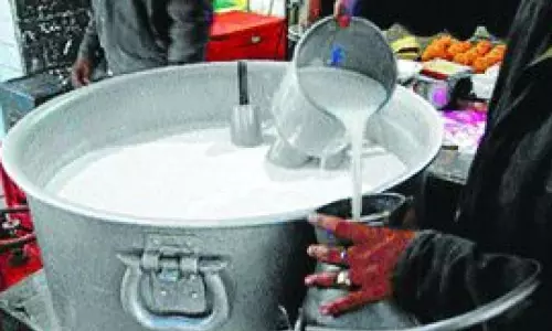 NHRC Takes Cognisance of 16 Deaths Due to Adulterated Milk, Seeks Report