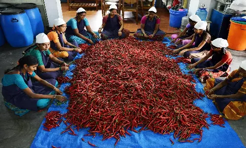 AP to convert Mahila Marts into livelihood hubs