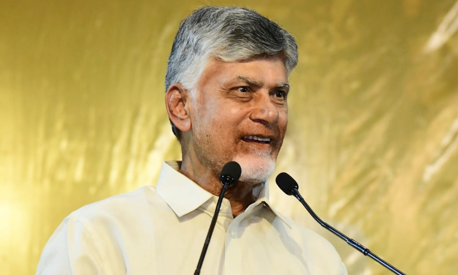 Naidu Hails Solar Push, Backs Green Energy Growth