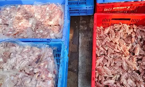 Chicken Prices Take Wing In Seema, Cross ₹300/Kg In Retail Markets