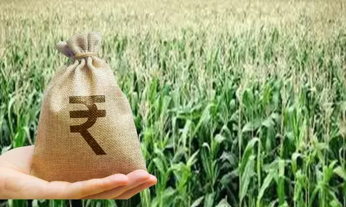 Crop Loans Increase 14% to ₹6,904 Crore in Nandyal District