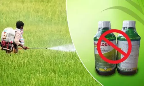 Demand For Ban On Lethal Herbicide Paraquat Growing