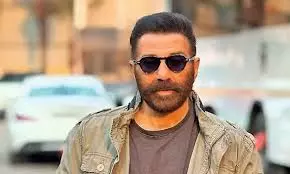 Dual Looks Leave Sunny Agitated