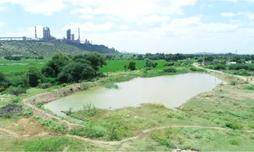 UltraTech Strengthens Water Availability In Anantapur Through Responsible Water Stewardship