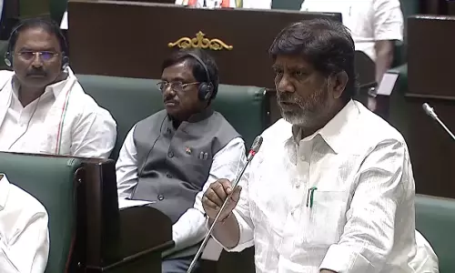 Bhatti Urges Leaders To Join Solar Village Drive