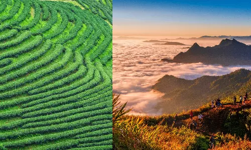 Why Chiang Rai Deserves Your Attention in 2026