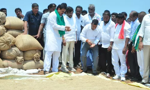 Every Grain of Rice Bears Farmer’s Name: AP Sets National Example