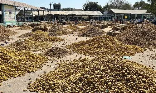 Unseasonal Rains Damage Turmeric Stocks in Nizamabad Market Yard