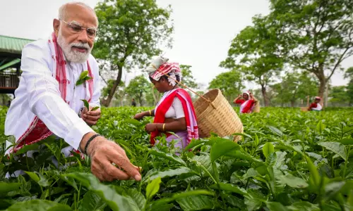 PM Visits Tea Garden in Poll-Bound Assam, Interacts With Women Workers