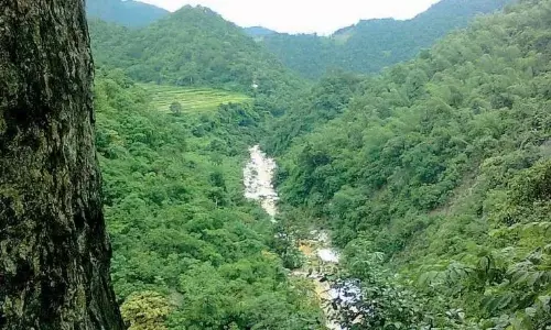 Podu Rights Given for Revenue Land, Standing Forest Areas Too