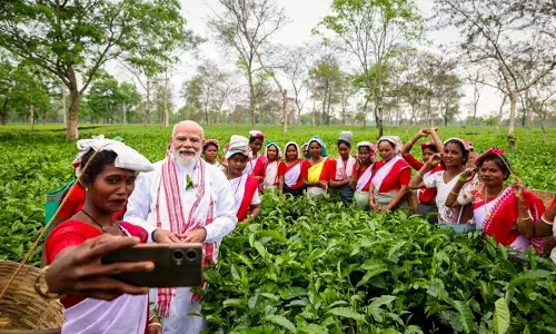 PM: Shield People From War Impact