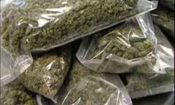 Five Get 20-Year RI In Ganja Case