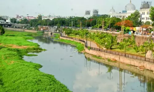 NGT Dismisses Plea Against Musi Project NGT Dismisses Plea Against Musi Project