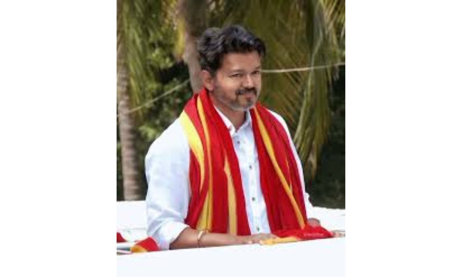 Discrepancies Surface In Vijay''s Affidavits Filed At Perambur, Trichy East