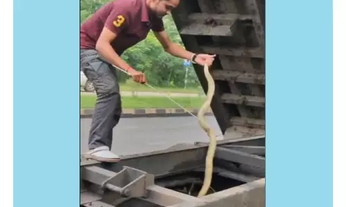 Three Venomous Snakes Rescued From Well In Odisha’s Sundargarh