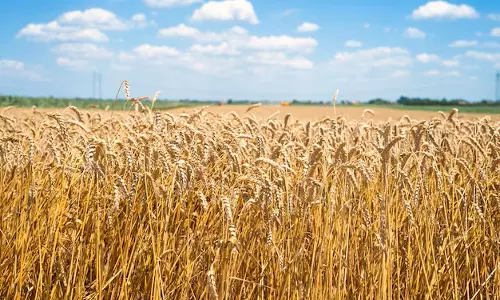 Food Prices Rise in March on West Asia Conflict Food Prices Rise in March on West Asia Conflict