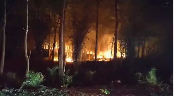 Fire Breaks Out in Nallamala Forest near Srisailam