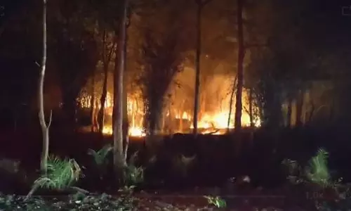 Fire Breaks Out in Nallamala Forest near Srisailam Fire Breaks Out in Nallamala Forest near Srisailam
