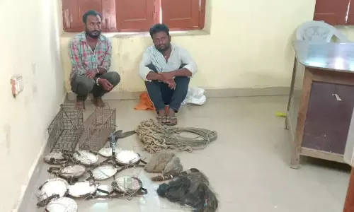 Instagram Videos Help Forest Officials Nab Wildlife Poachers Instagram Videos Help Forest Officials Nab Wildlife Poachers