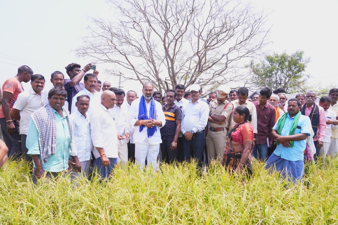 Govt To Aid Rain-Hit Farmers: Srinivas