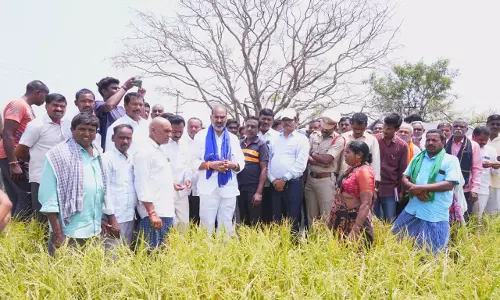 Govt To Aid Rain-Hit Farmers: Srinivas Govt To Aid Rain-Hit Farmers: Srinivas