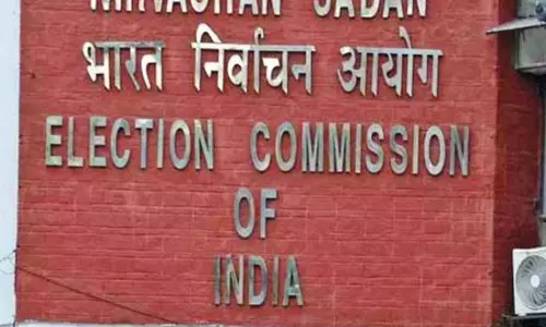 Massive Voting In Assembly Polls; Women Voters Outnumber Men: EC Data