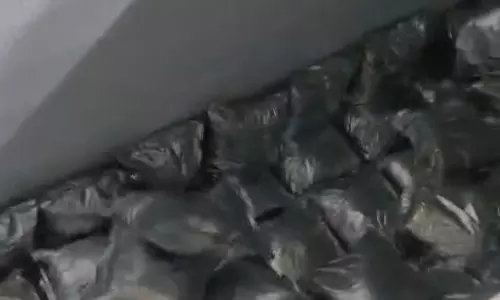 Biryani Packets Preserved in Fridge Seized in Banjara Hills Biryani Packets Preserved in Fridge Seized in Banjara Hills