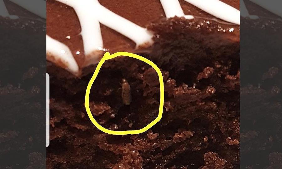 Binge And Bash Sealed For Cake Infested With Insects