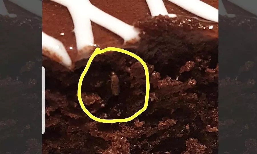 Infested Cake Binge And Bash Sealed For Cake Infested With Insects