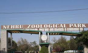 Nehru Zoo Park Earns Top CZA Ranking