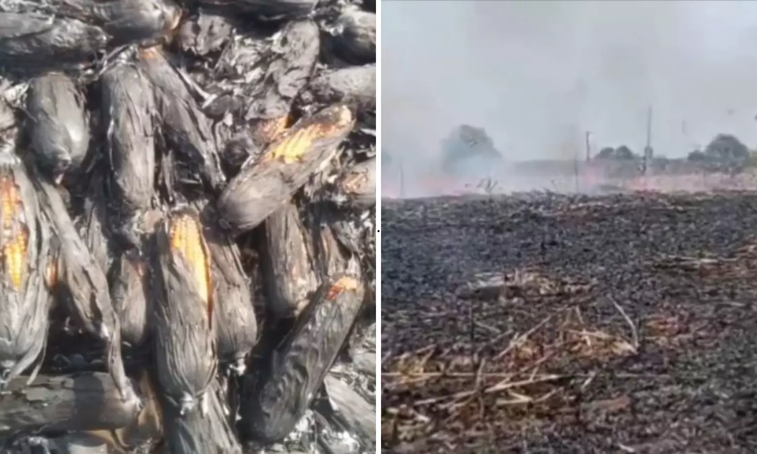 Heatwave Claims Four Lives as Temperatures Cross 42°C in Warangal Heatwave Claims Four Lives as Temperatures Cross 42°C in Warangal