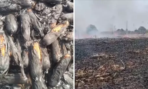 Heatwave Claims Four Lives as Temperatures Cross 42°C in Warangal Heatwave Claims Four Lives as Temperatures Cross 42°C in Warangal