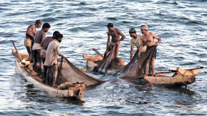 Centre Allocates Rs 2,000 Crore to Andhra Pradesh for Development of Fisheries