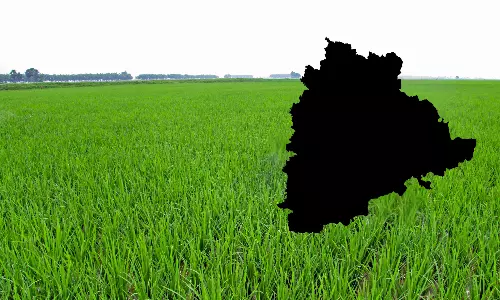 Telangana Caste Survey: Reddy Community Holds 13.5% of Land in State