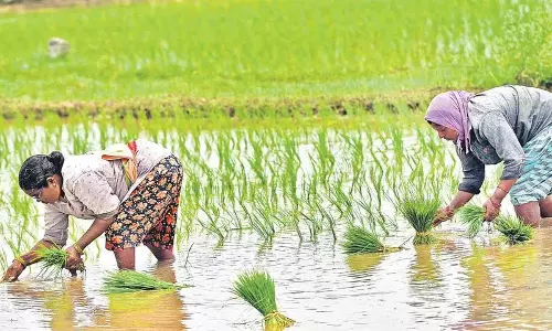 Scientists-to-Farmers Outreach Concludes Successfully, Reaching 2.5 Lakh Farmers Scientists-to-Farmers Outreach Concludes Successfully, Reaching 2.5 Lakh Farmers