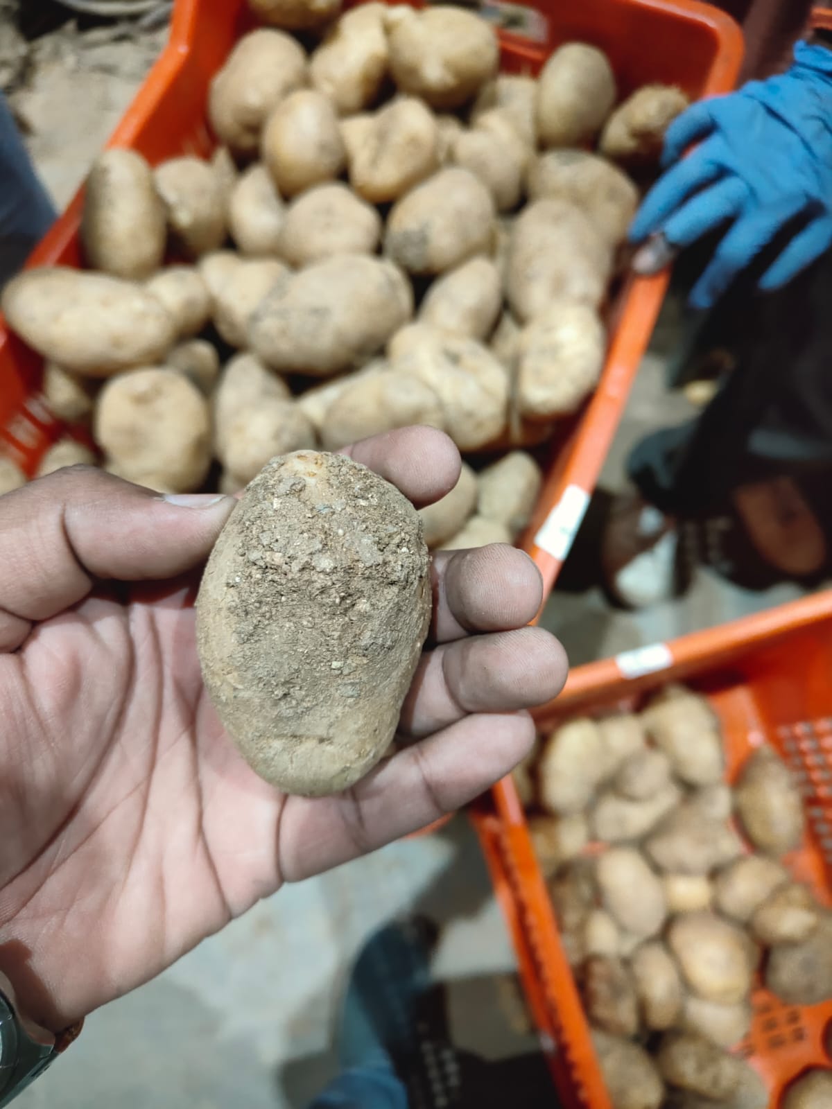 Unhygienic Conditions Detected at Groceries Warehouse in Kompally